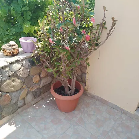 منزل ريفي Philoxenia